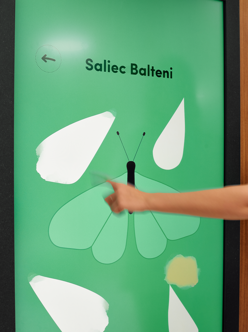 Bērnu un jauniešu psihiskās veselības centra dizains — «H2E» ← FOLD-10