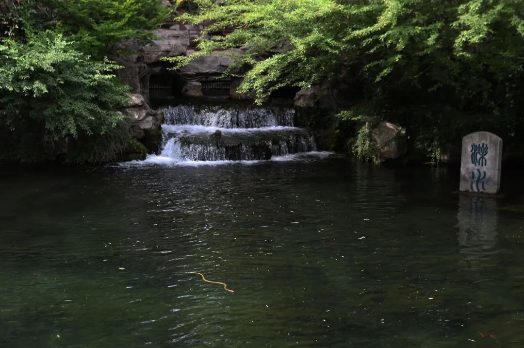 “泉水觅知音”景观互动装置-10