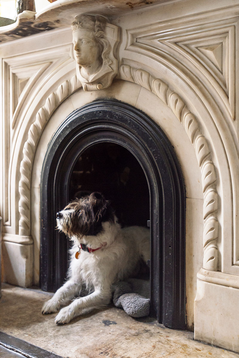 布鲁克林活泼多彩的联排别墅-6