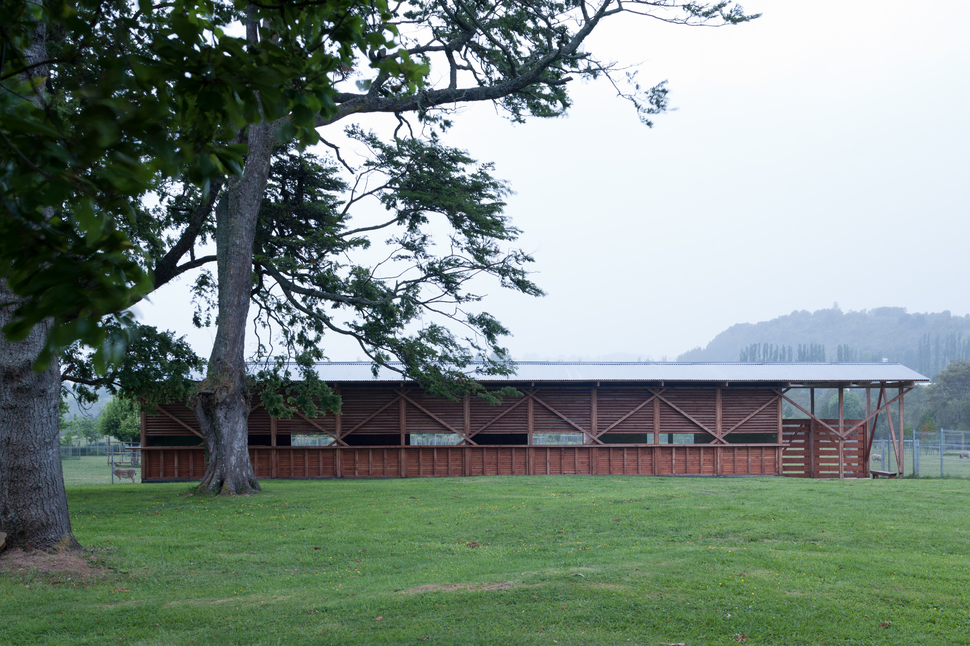 阿维亚里和稳定公园埃尔恩坎托丨智利丨DRAA-26