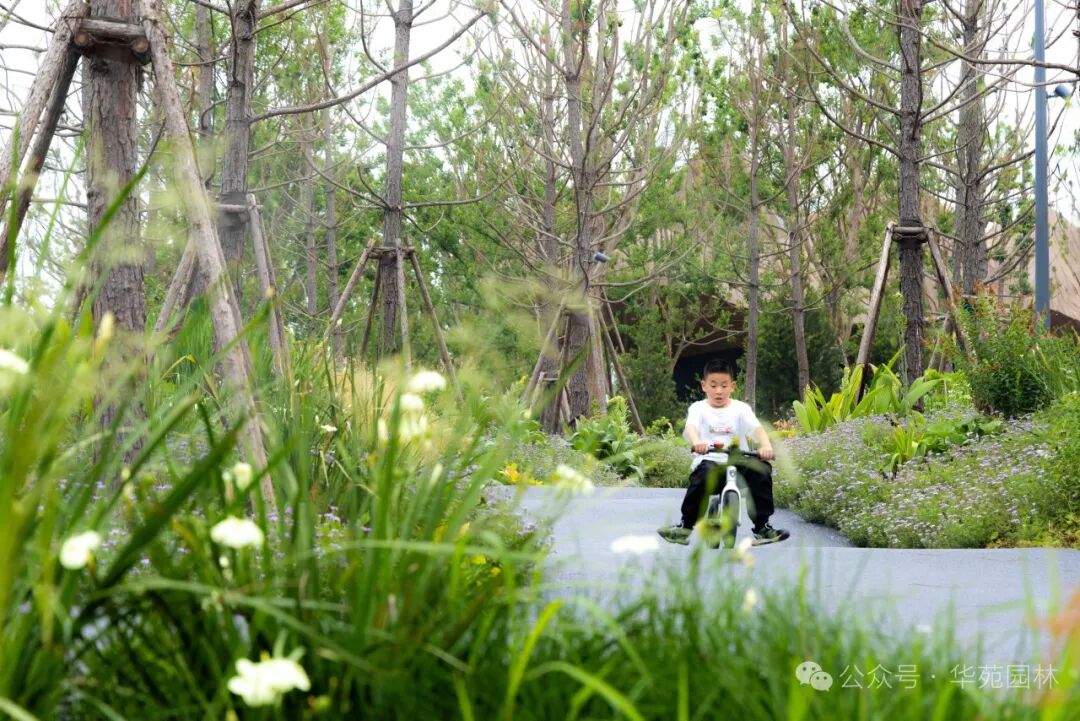 在岛上，过另一种生活丨武汉麓客岛一期一标段&水线公园南区景观工程-126