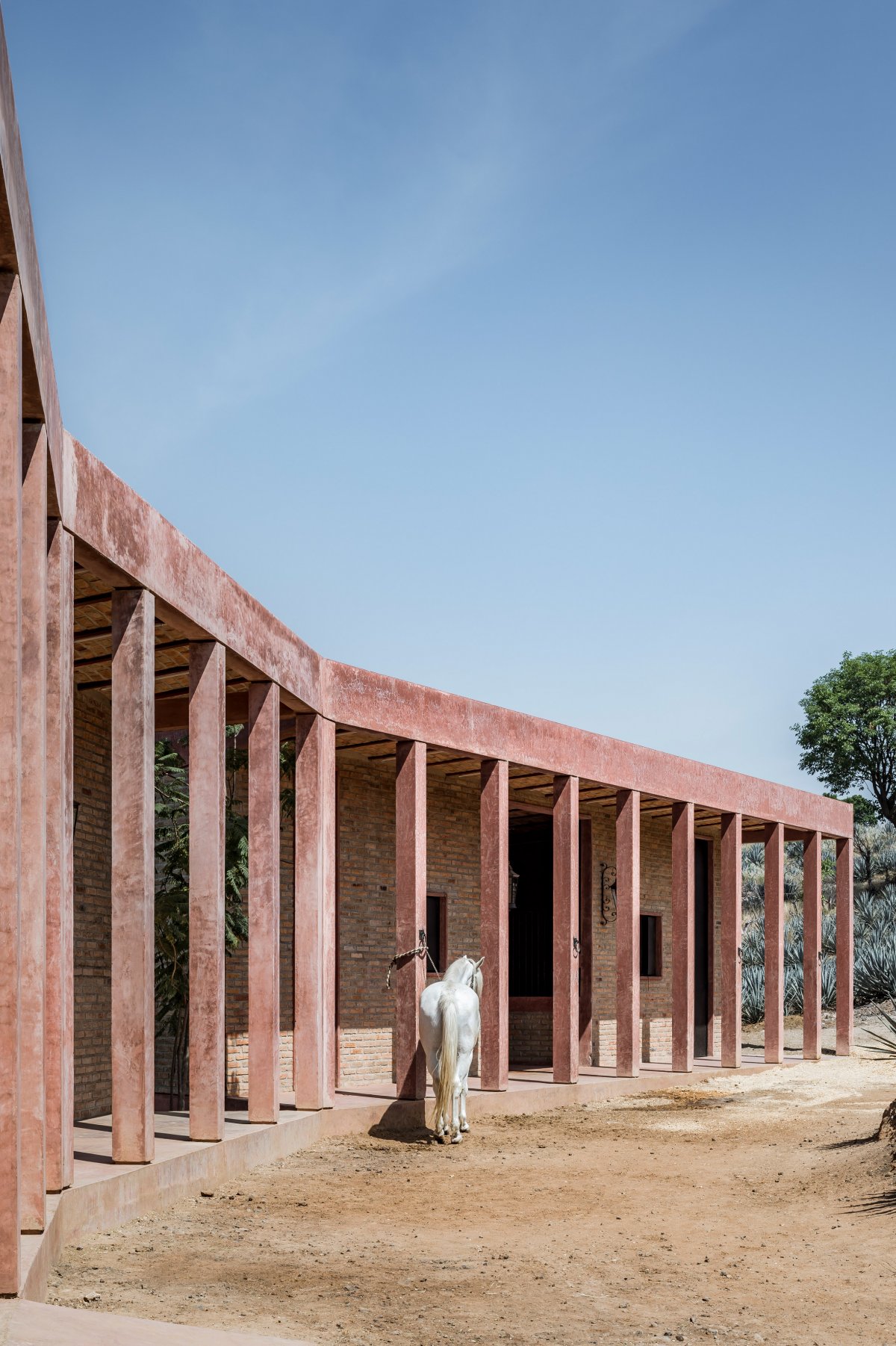 Agavero 牧场丨墨西哥丨1540 Arquitectura-5