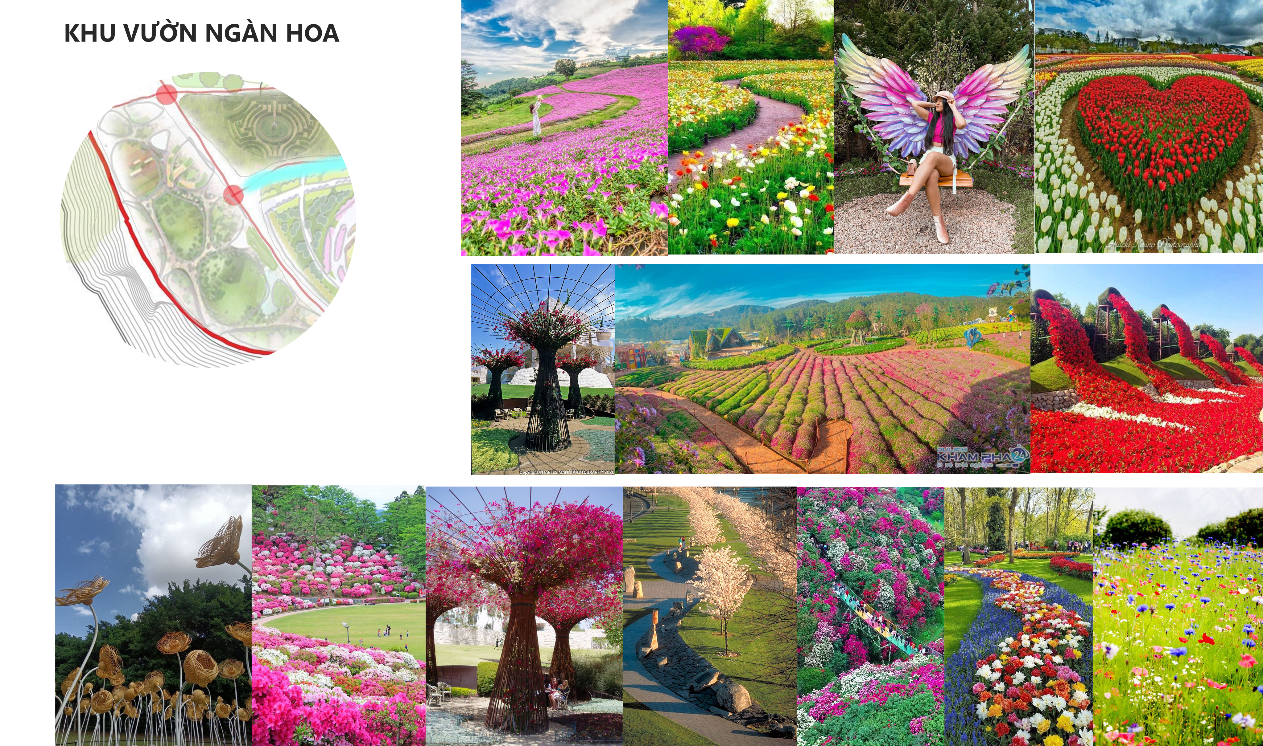 PHOENIX FLOWER PARK CONCEPT 1-12