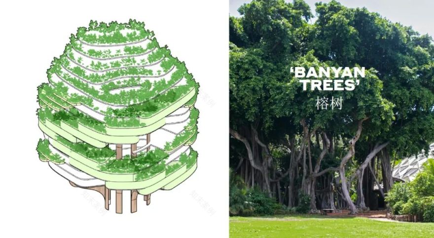 天盟大厦丨中国福州丨WoodsBagot(伍兹贝格)-11