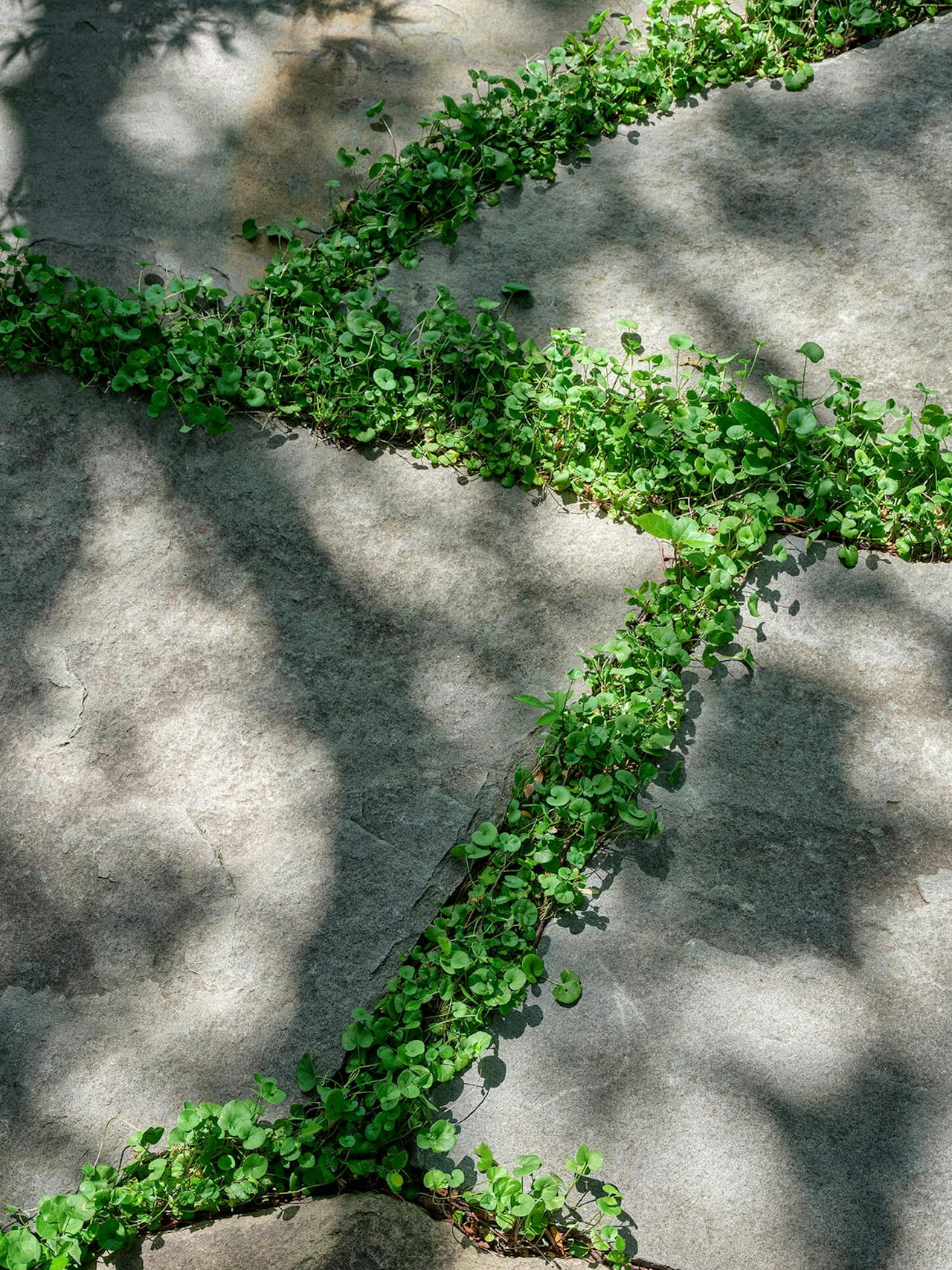 新月丨美国达拉斯丨HOCKER-27