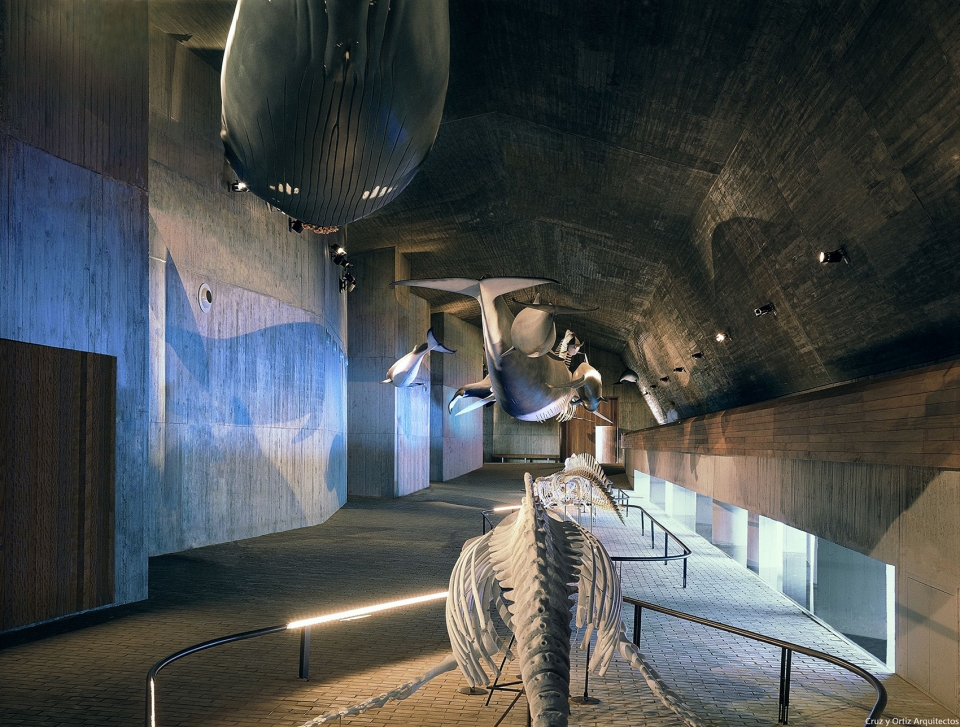 沙漠之珠 · 多尼亚国家公园海洋博物馆-17