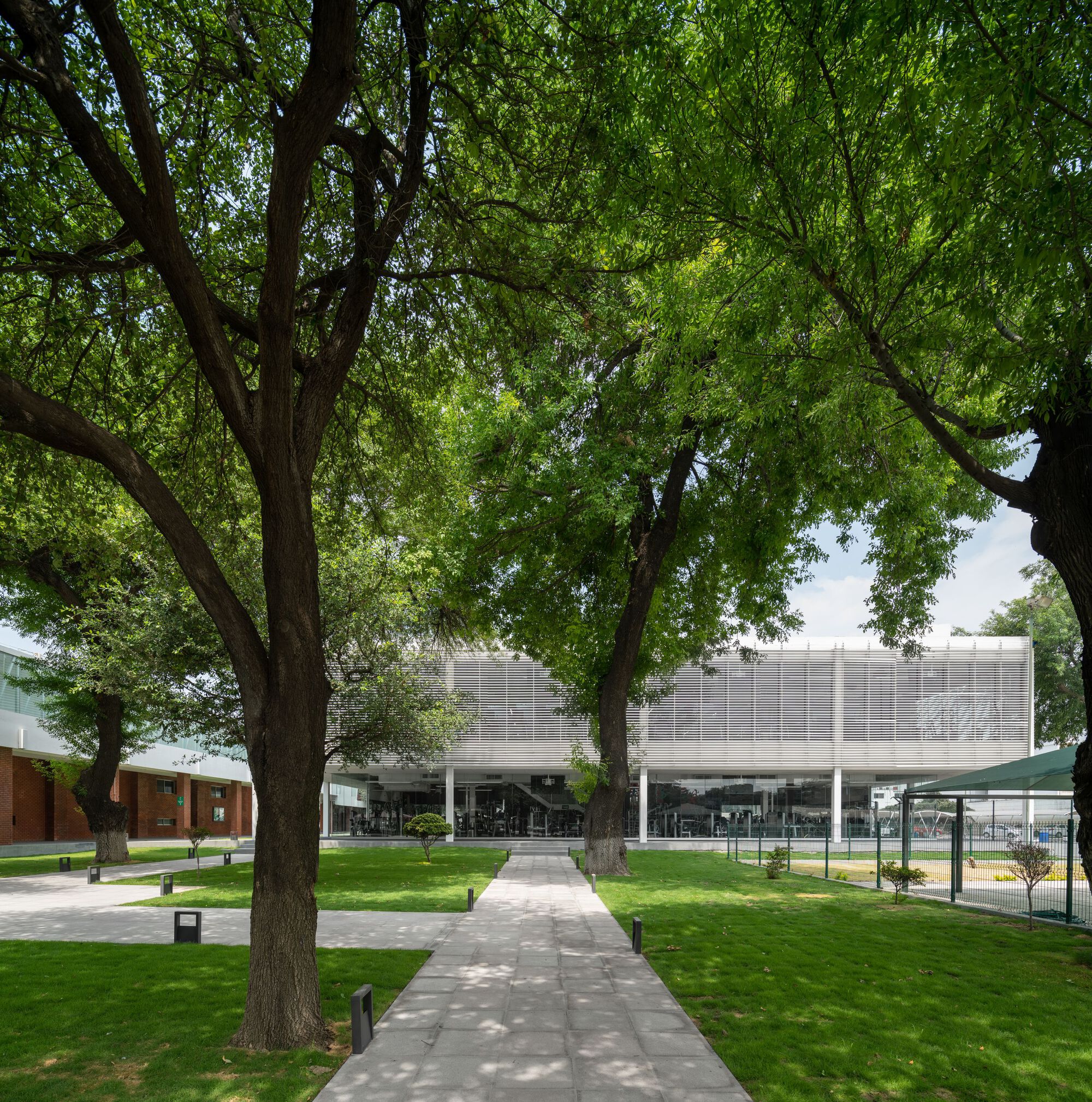 喜力体育中心-10