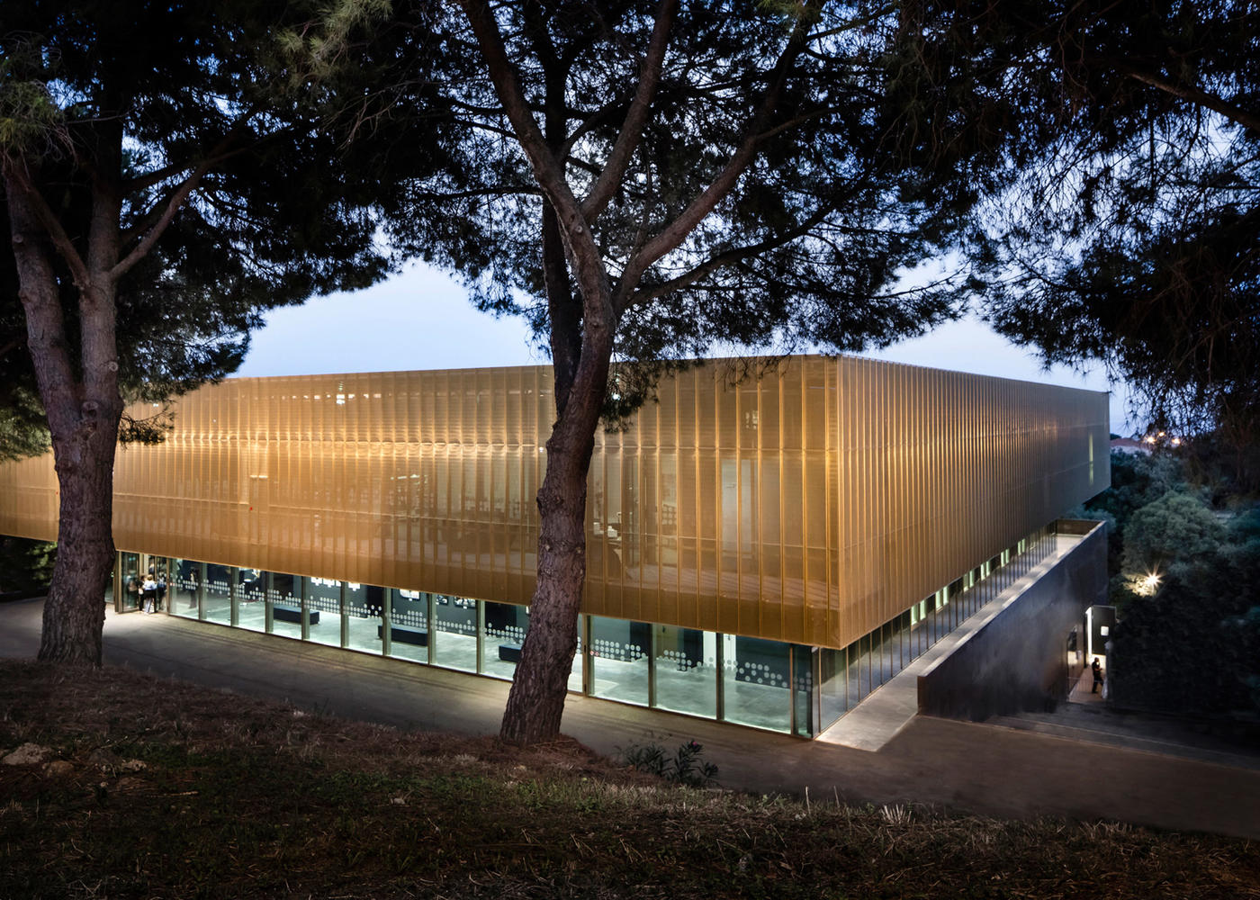 如同林间的鸡油菌 巴斯蒂亚文化中心-2