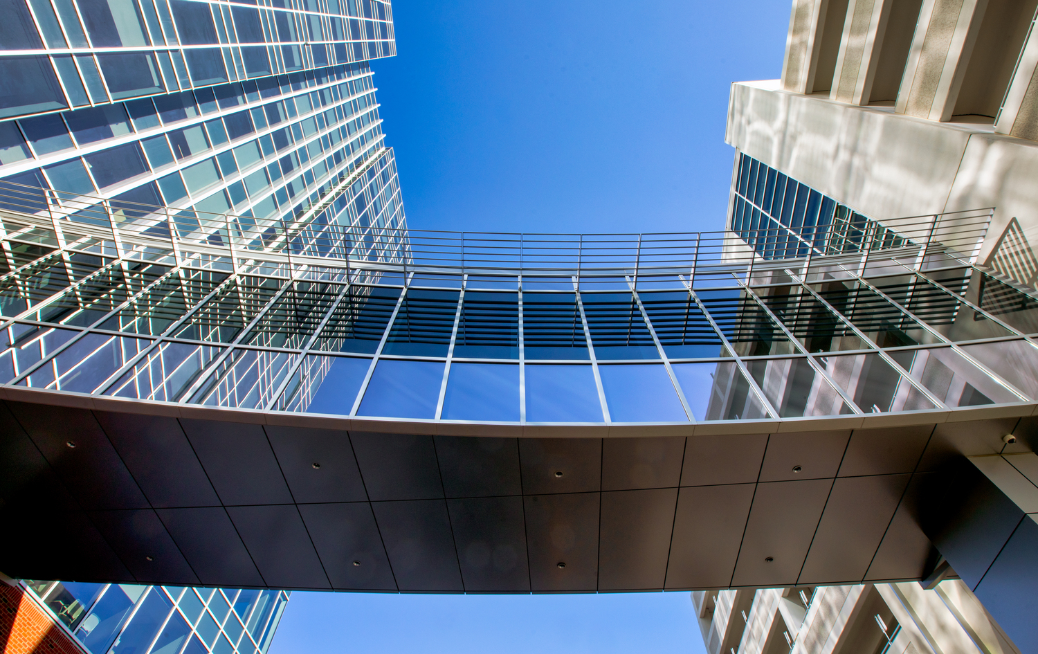 Dollar Tree 总部办公楼 | 高效办公与绿色生态的完美结合-8