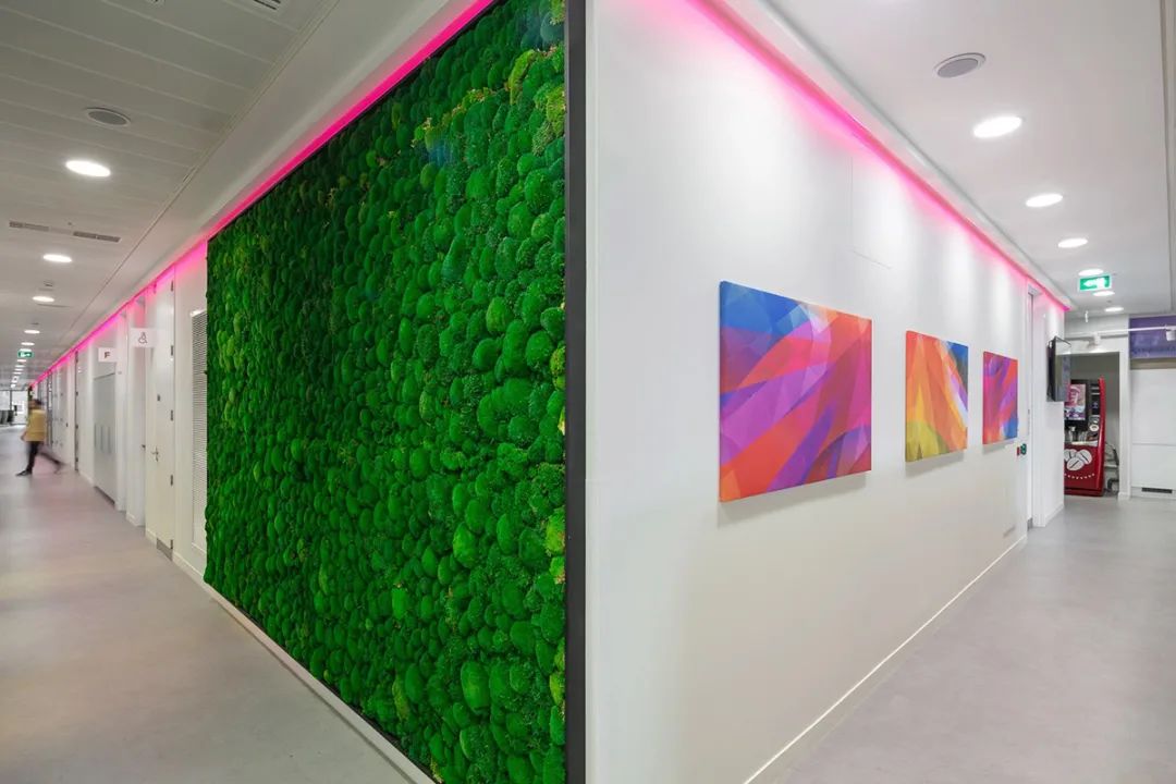 英国汽车保险商DLG伦敦总部丨英国伦敦丨TSK Group-63