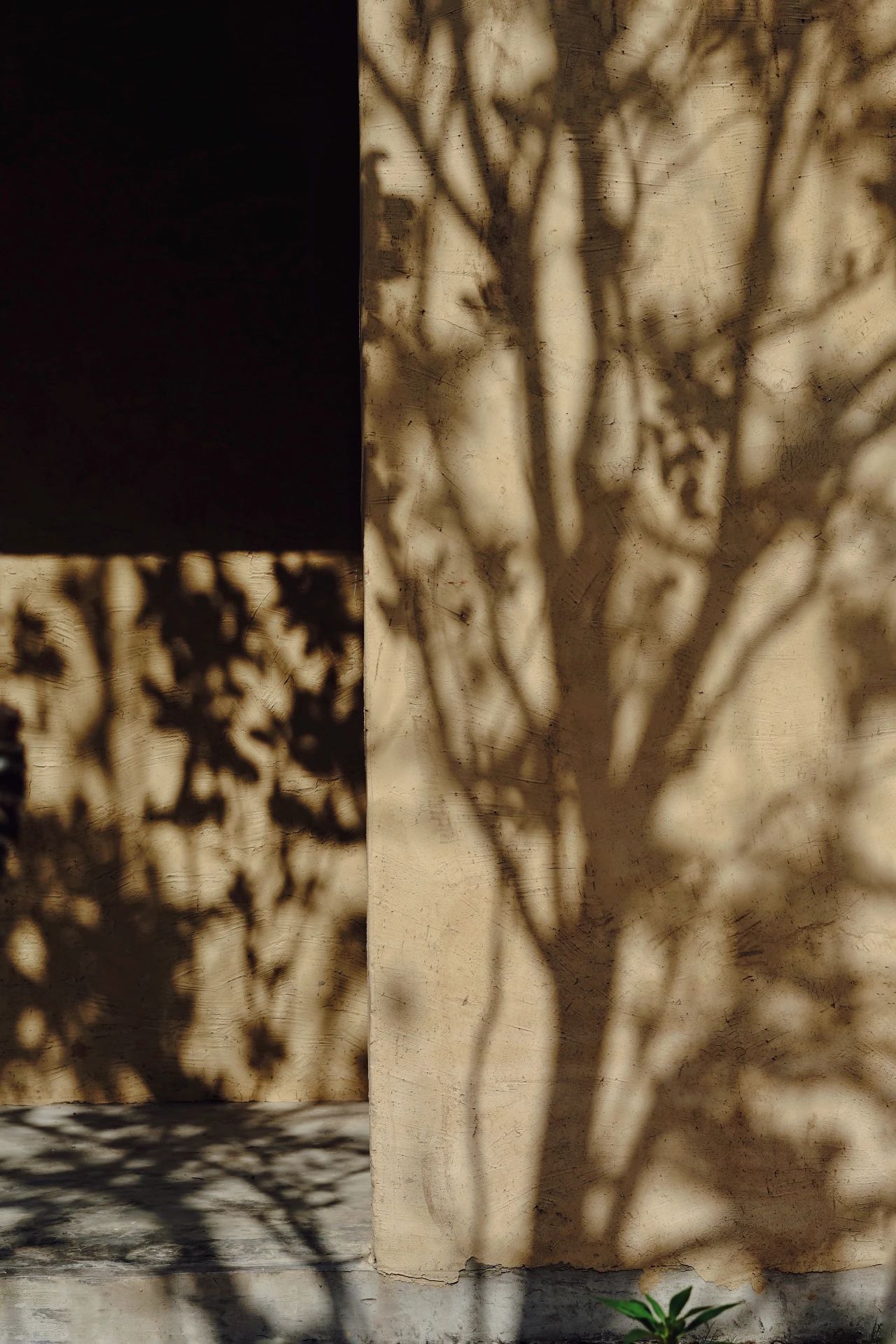 重庆飞茑集 | 睡入云端,尽享清凉山城田园生活-89