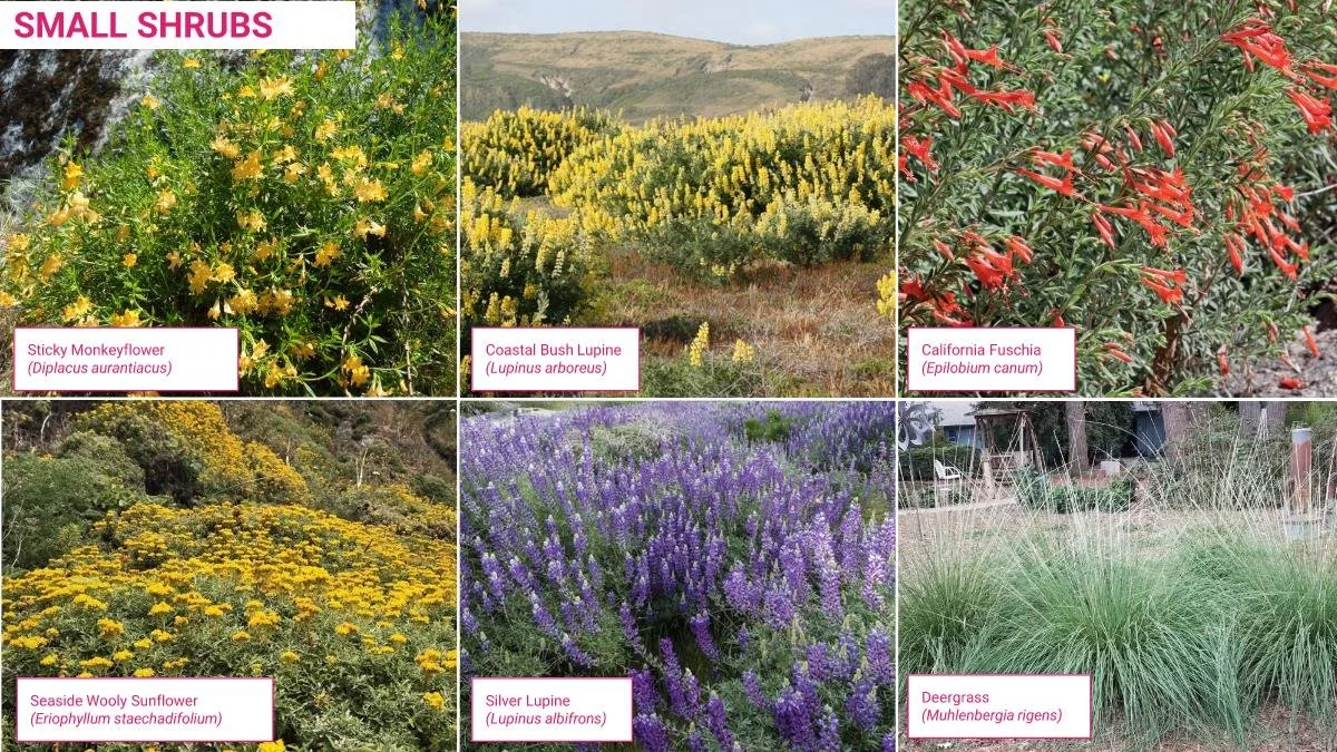 丨美国丨Fletcher Studio-45