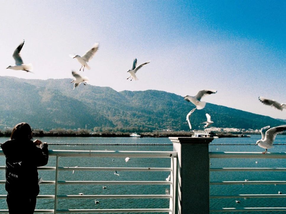 上海老破小的“逆生长”丨中国上海丨TUO建筑设计事务所-69