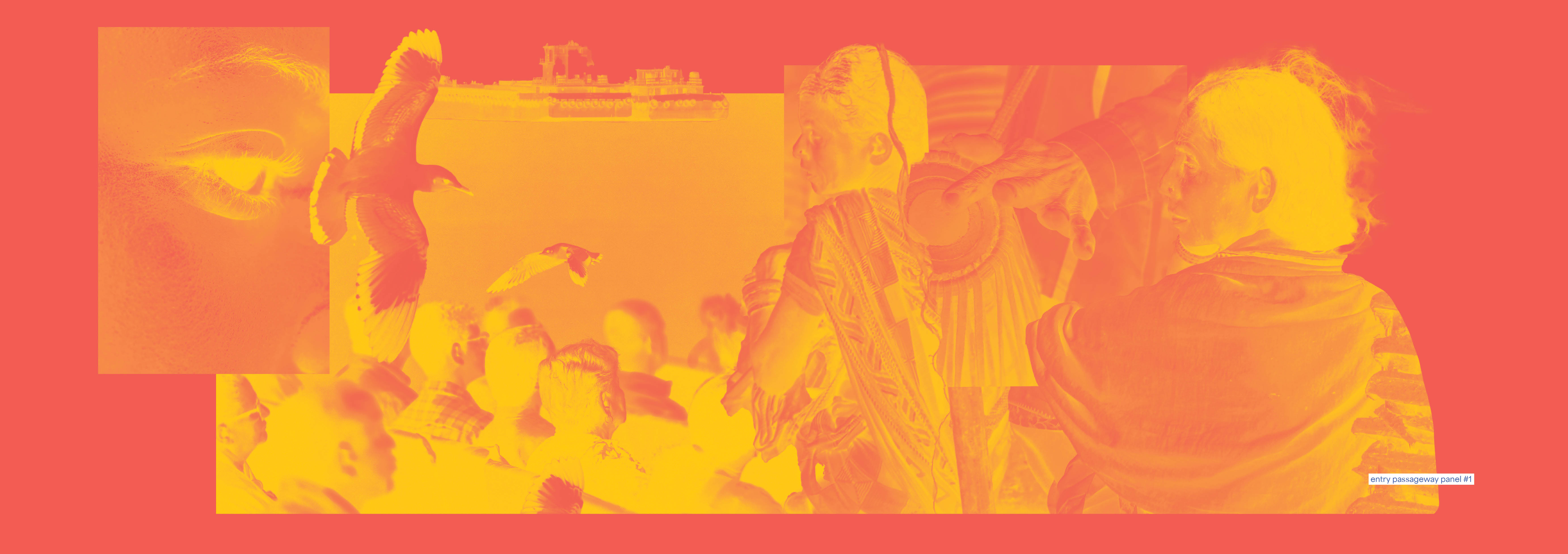 18th Mumbai International Film Festival - Spatial-33