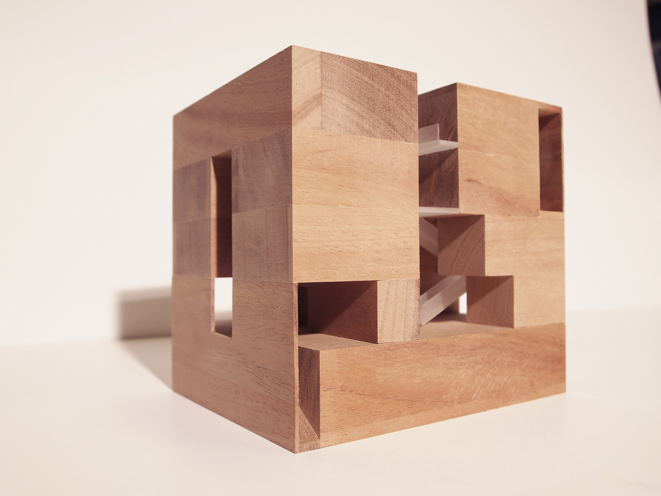 德累斯顿定量生物学研究中心-28