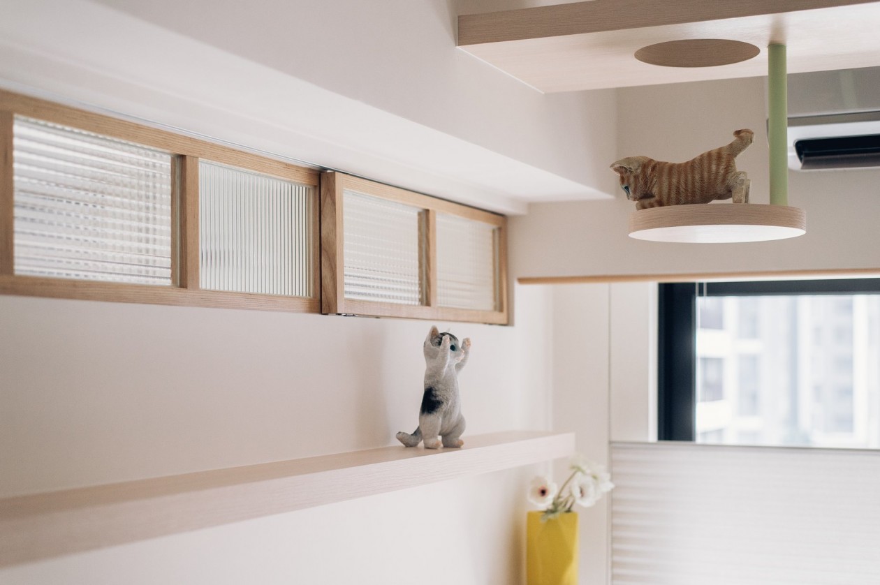 一亩绿设计 | 猫咪的天空之城-6