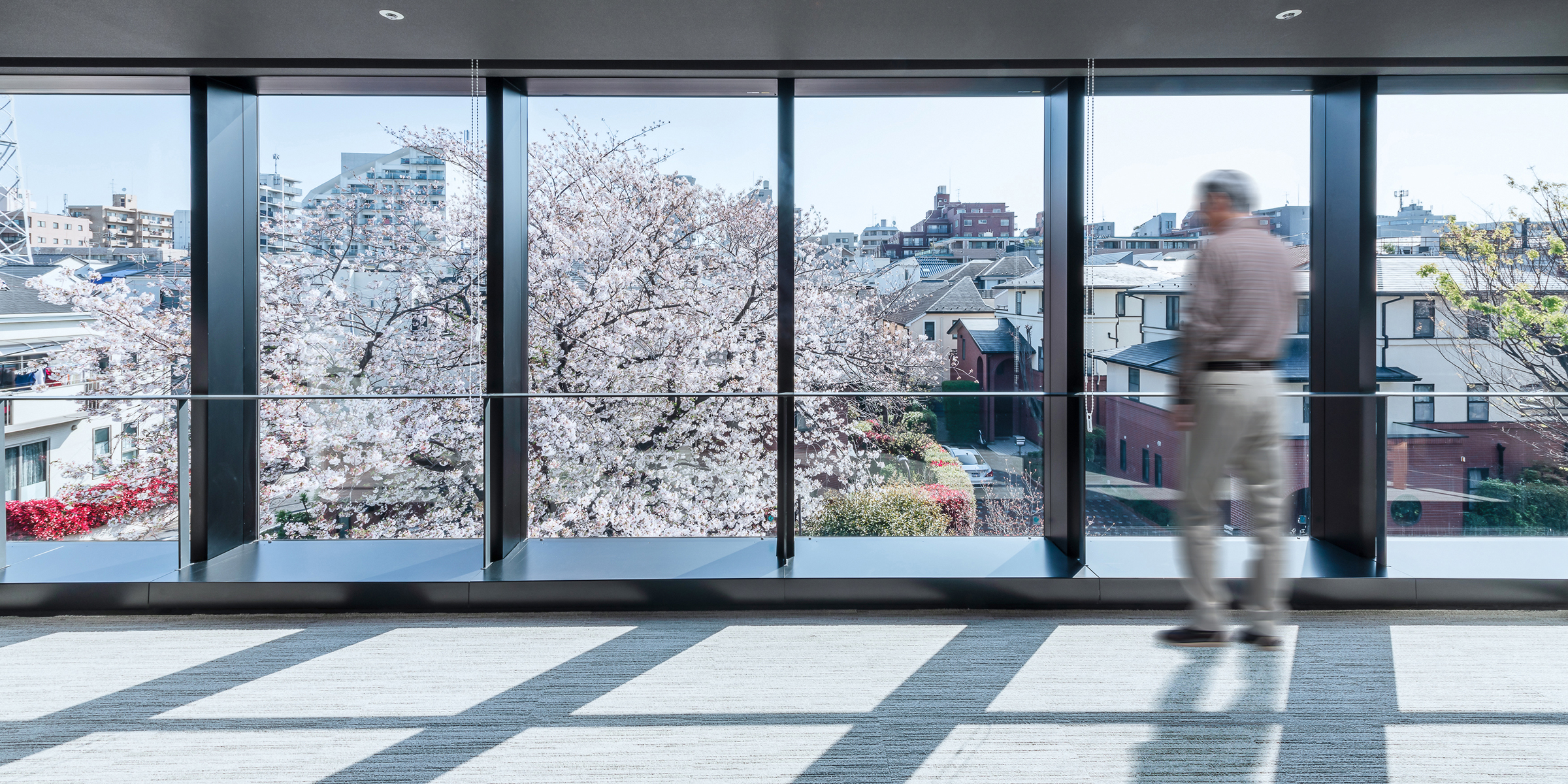 查姆总理柏木坂丨NIKKEN HOUSING SYSTEM LTD-14