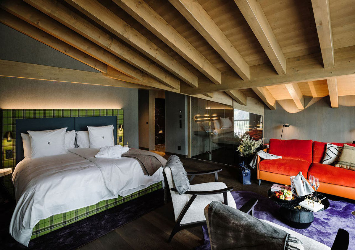 时尚的阿尔卑斯山住宿-1