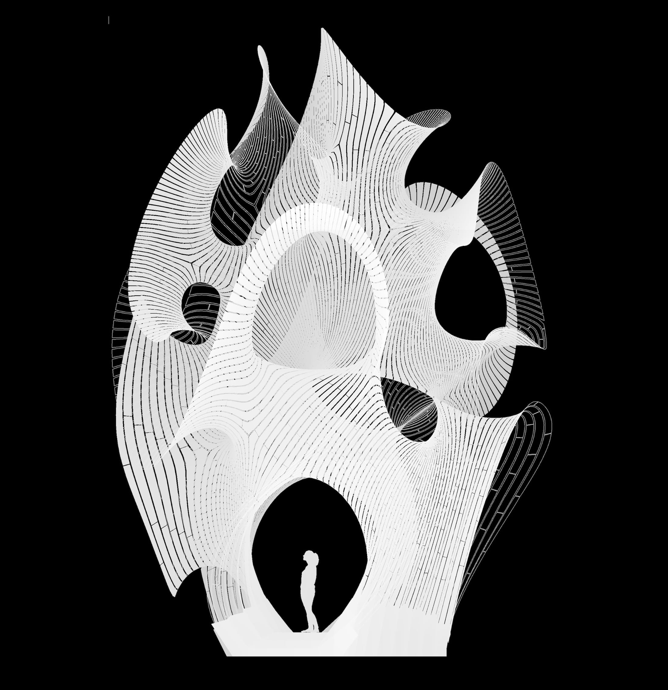 哈萨克斯坦白色卷曲亭-25