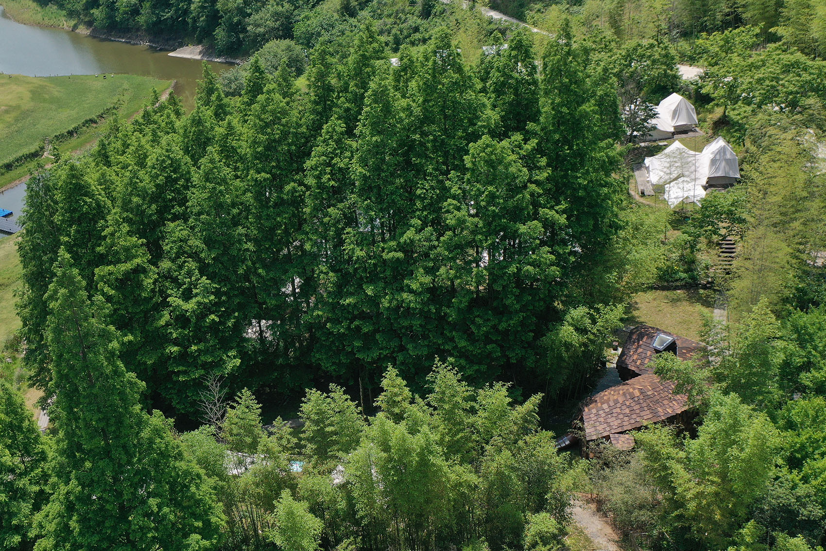 猫屋丨中国浙江丨跳房子建筑工作室-16
