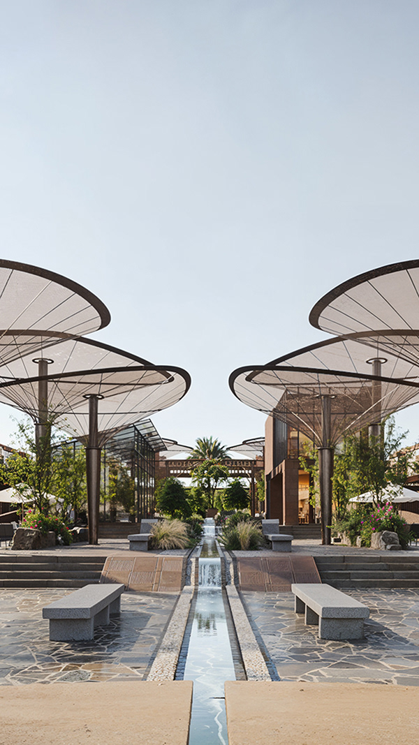 阿尔瓦西尔高级度假村丨沙特阿拉伯利雅得丨CLEAR Engineering Consultants-15