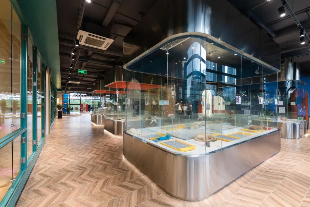 极宠家丨中国南京丨未本空间团队-59