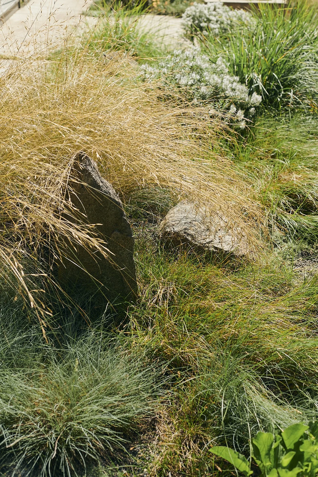 大型测试·大型狩猎之旅丨美国-7