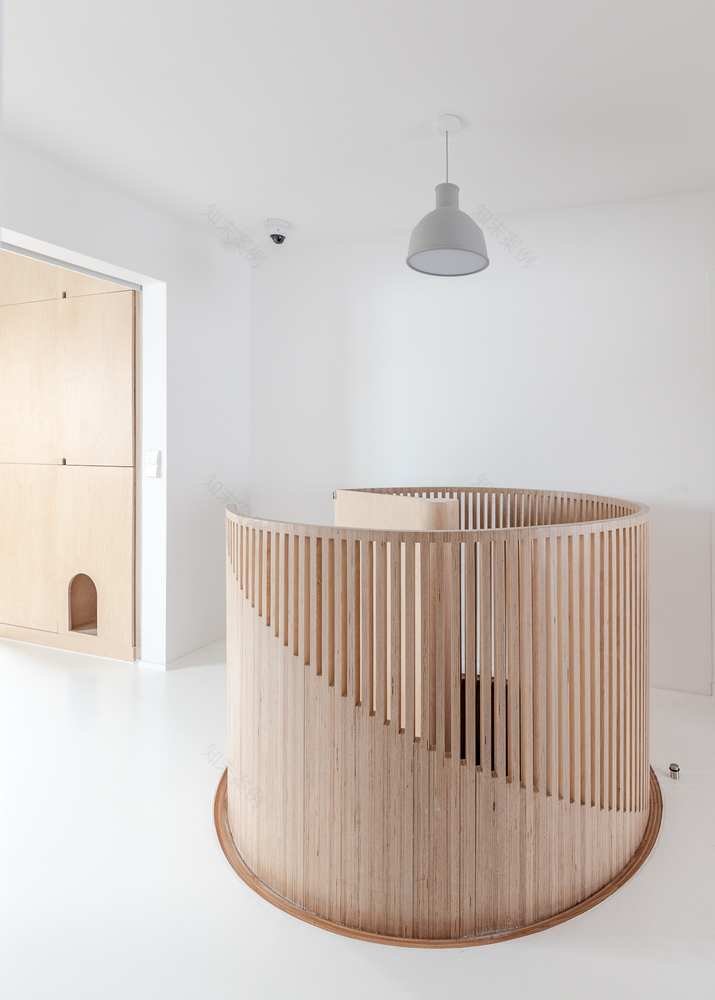 巴黎双层公寓,猫咪之家与城市景观的完美融合-41