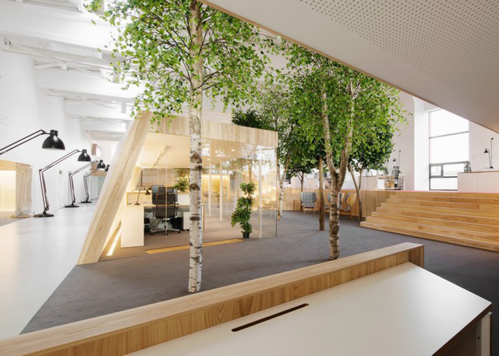 夏日森林办公空间 tree filled office  KAMP Arhitektid-4