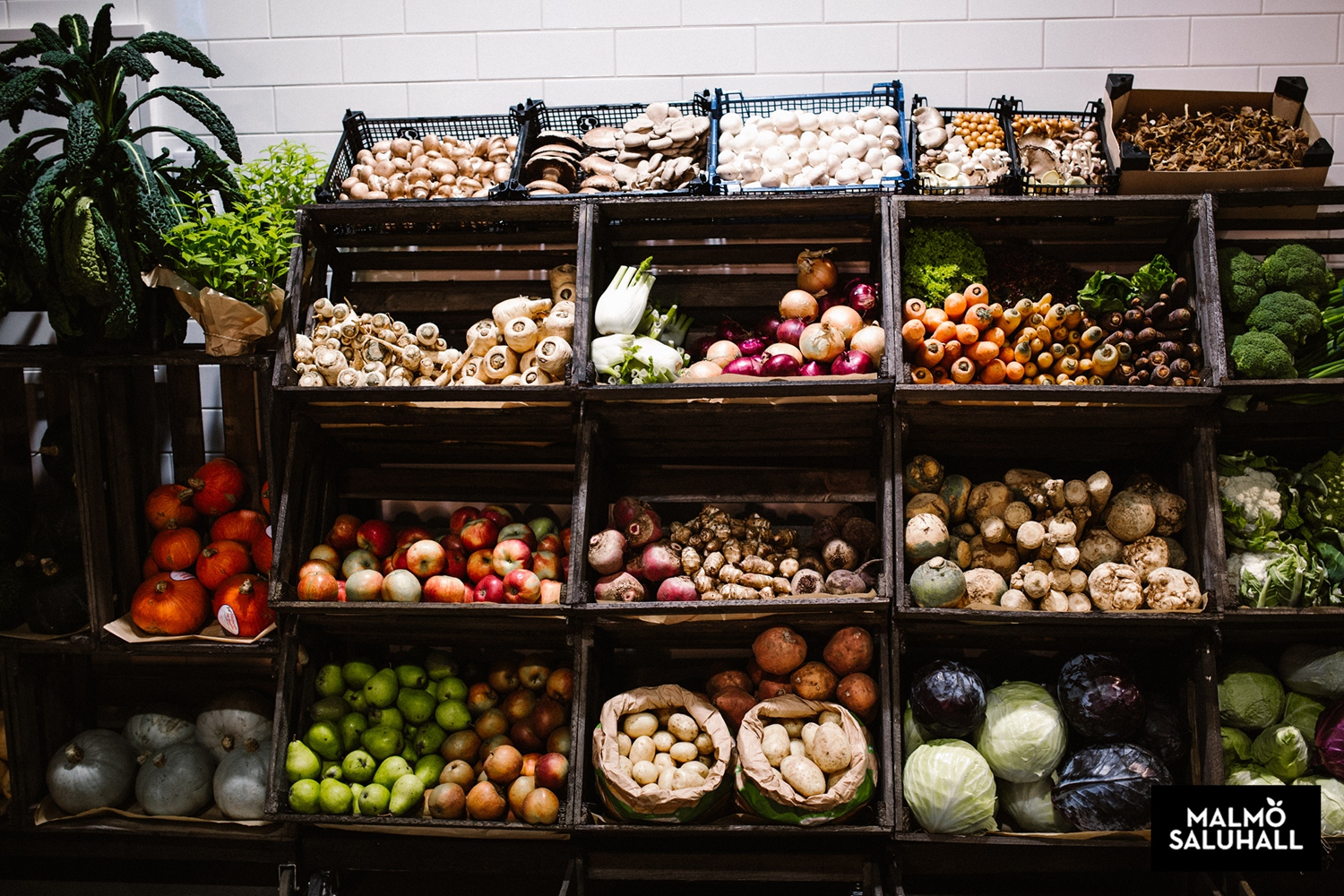 马尔默市场 | 旧货运站改造的全球美食爱好者目的地-72