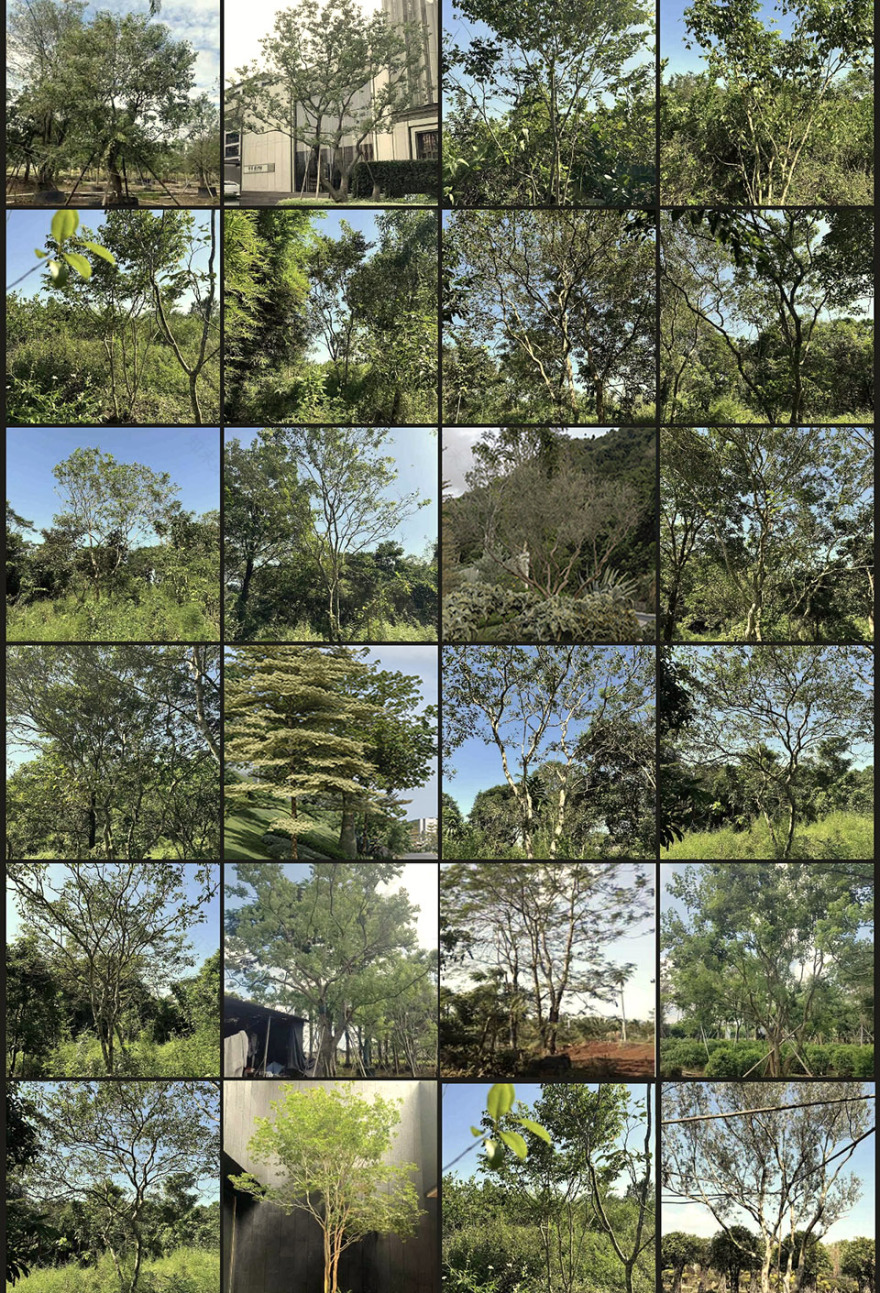 阿那亚·三亚三期丨中国三亚丨Line+-80