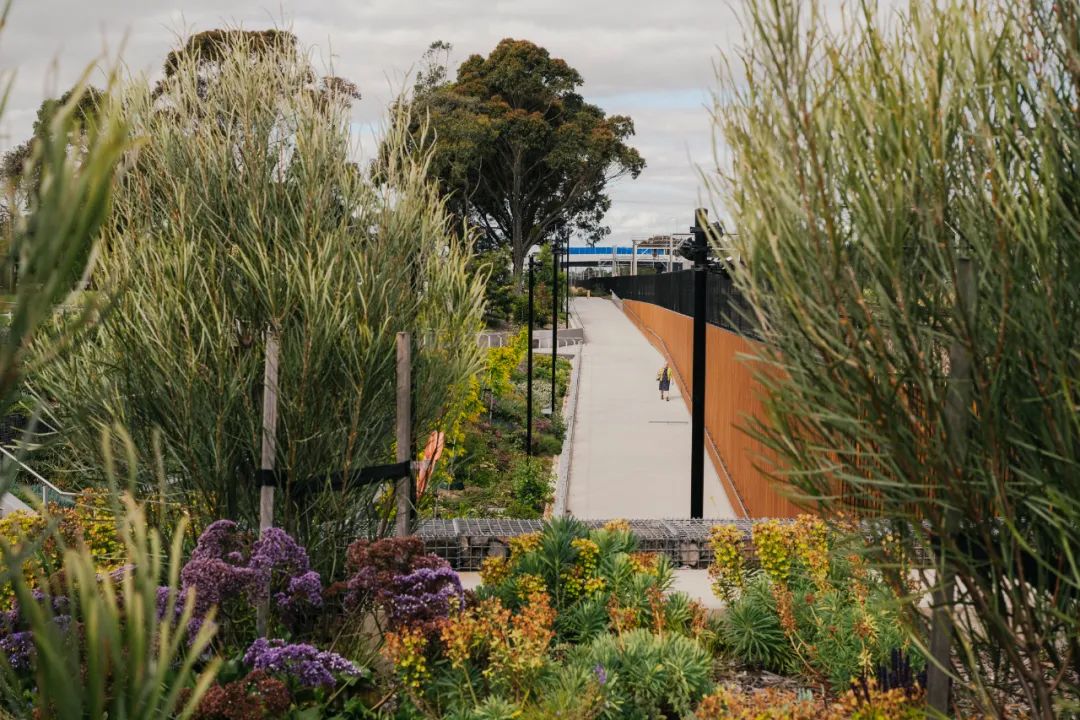 墨尔本及周边地区铁路平交道口移除改造项目（LXRP）丨澳大利亚墨尔本丨Hassell-20