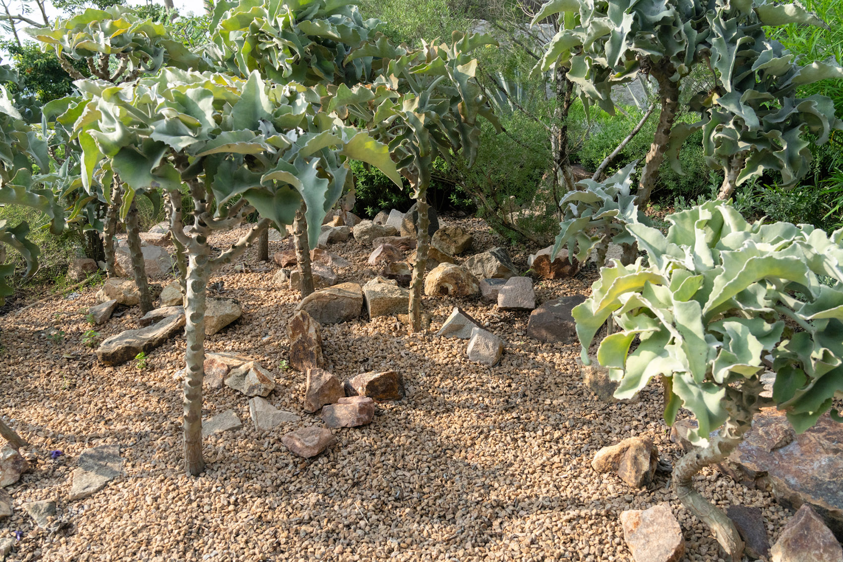 阿那亚·三亚三期丨中国三亚丨Line+-94