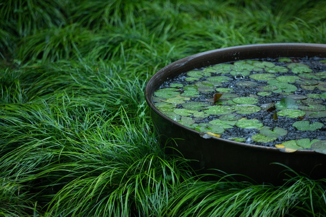 上海养云安缦社区-32