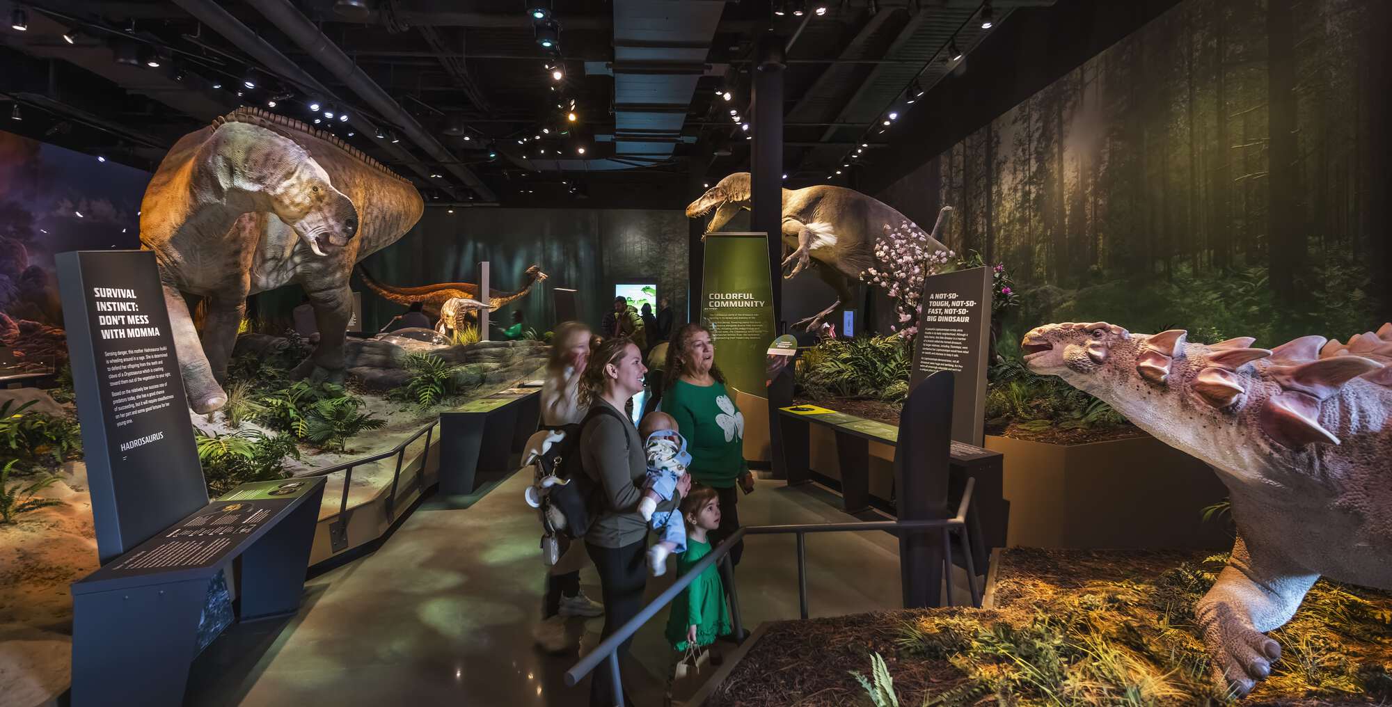 Jean & Ric Edelman Fossil Park & Museum / Ennead Architects-34