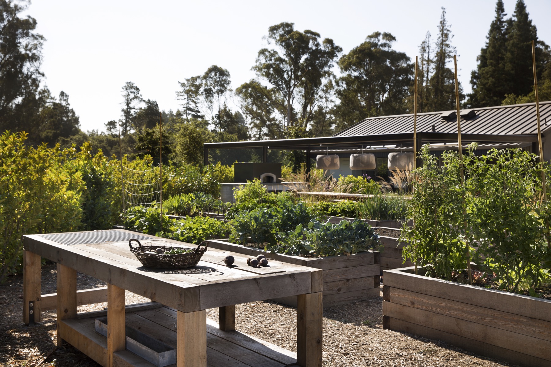 Farm to Table | Arterra Landscape Architects-15