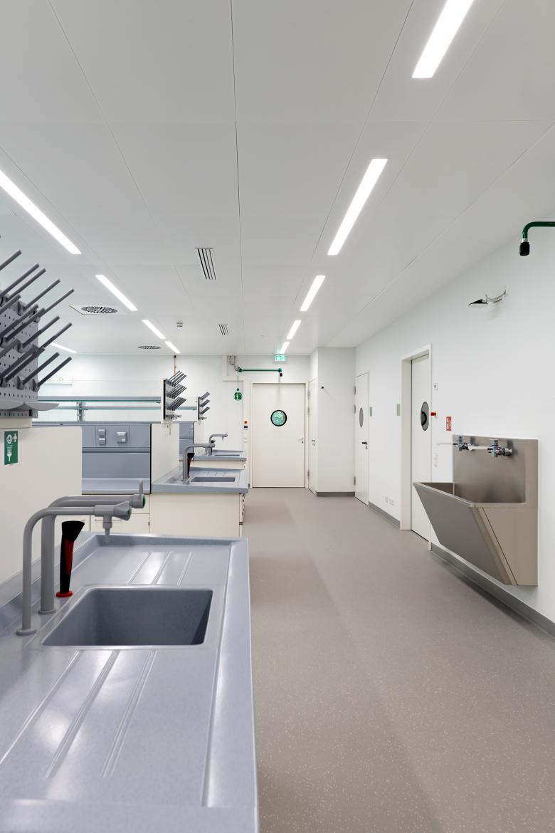 乌尔姆工业大学医学教学楼丨德国丨TiemannPetri Koch Stuttgart-12