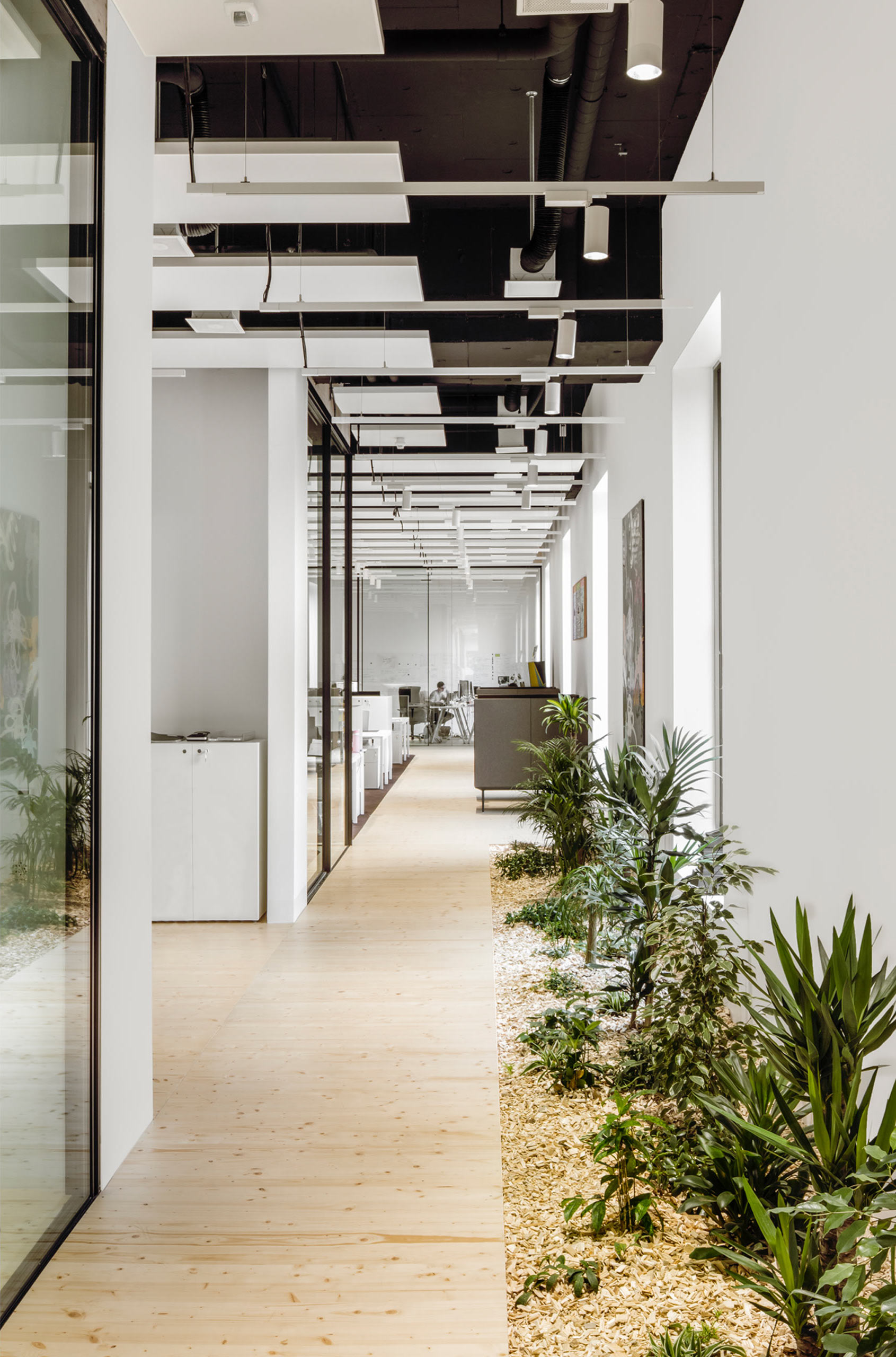 Delarive SA HQ_files Montalba Architects-0