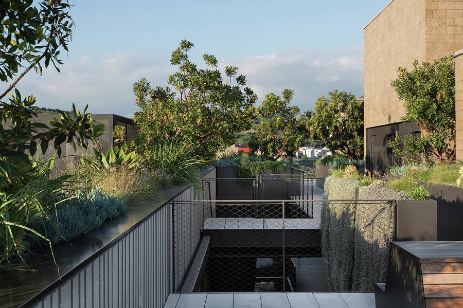 丨美国洛杉矶-32