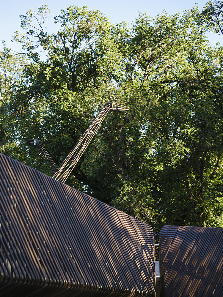 Tanderrum Pedestrian Bridge  John Wardle Architects  + NADAAA + Oculus-35
