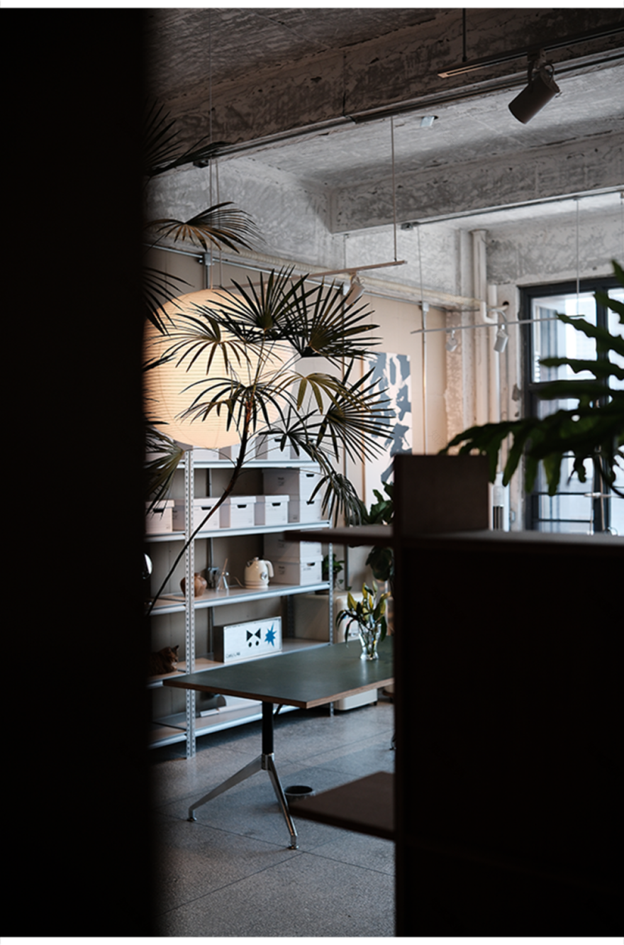 CATULAB 友猫设计实验室丨中国福州丨己盒概念-31