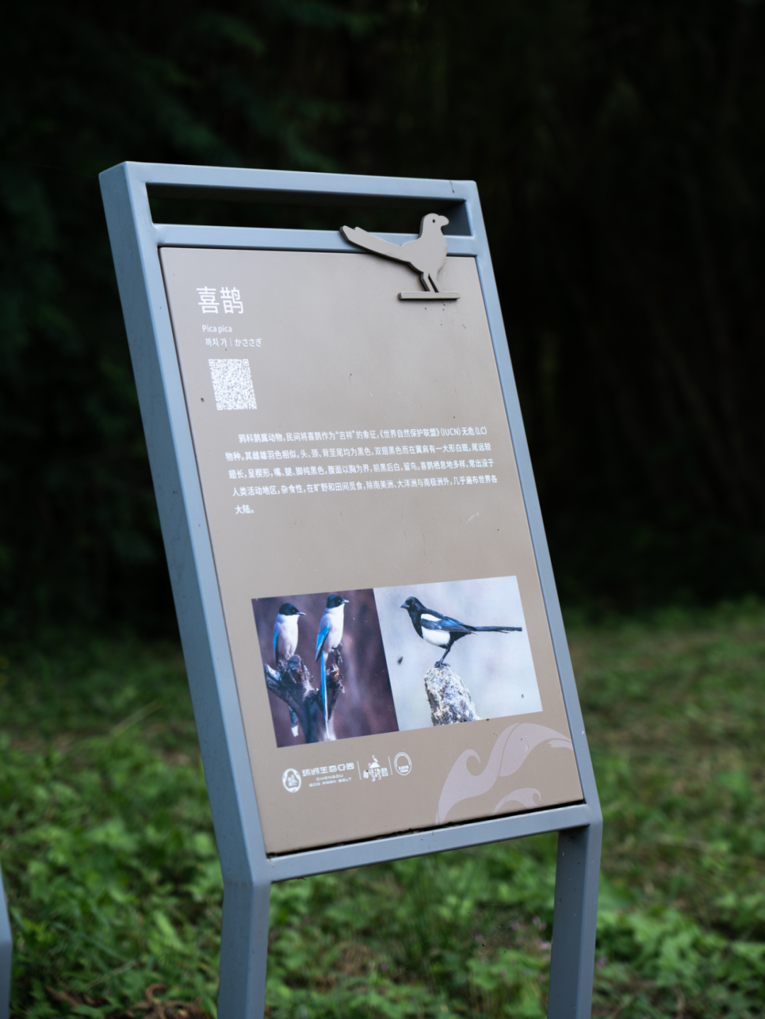 白鹭湾湿地公园自然探索基地丨中国成都丨上海柏熙标识有限公司-47