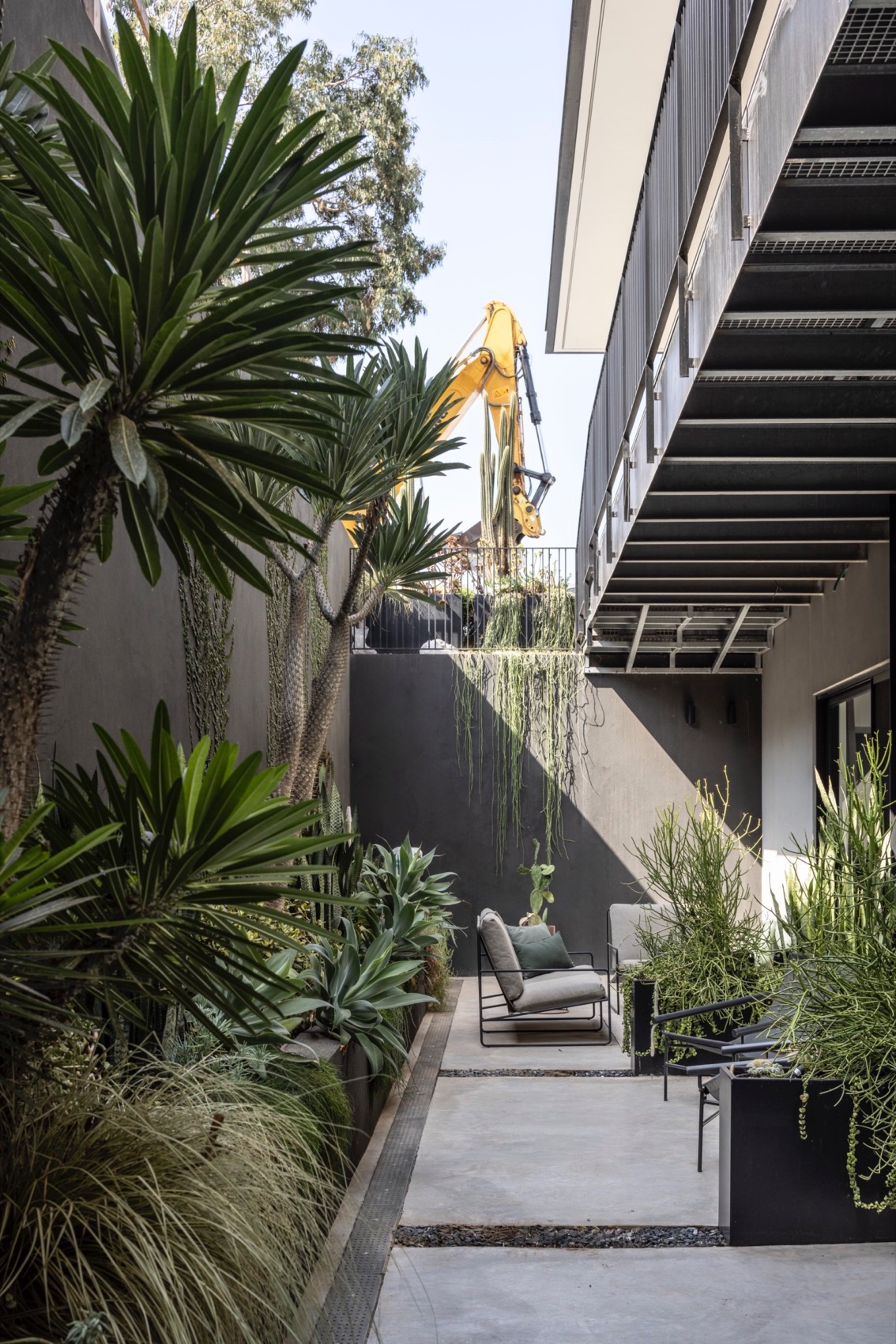 卡法尔·施马里亚胡的当代居所丨以色列丨Raz Melamed Architects-50