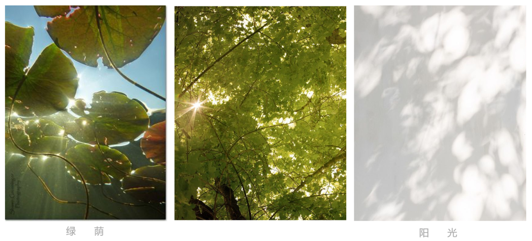 三亚崖州湾南繁科技城幼儿园,小学丨中国三亚丨上海联创设计集团股份有限公司-74