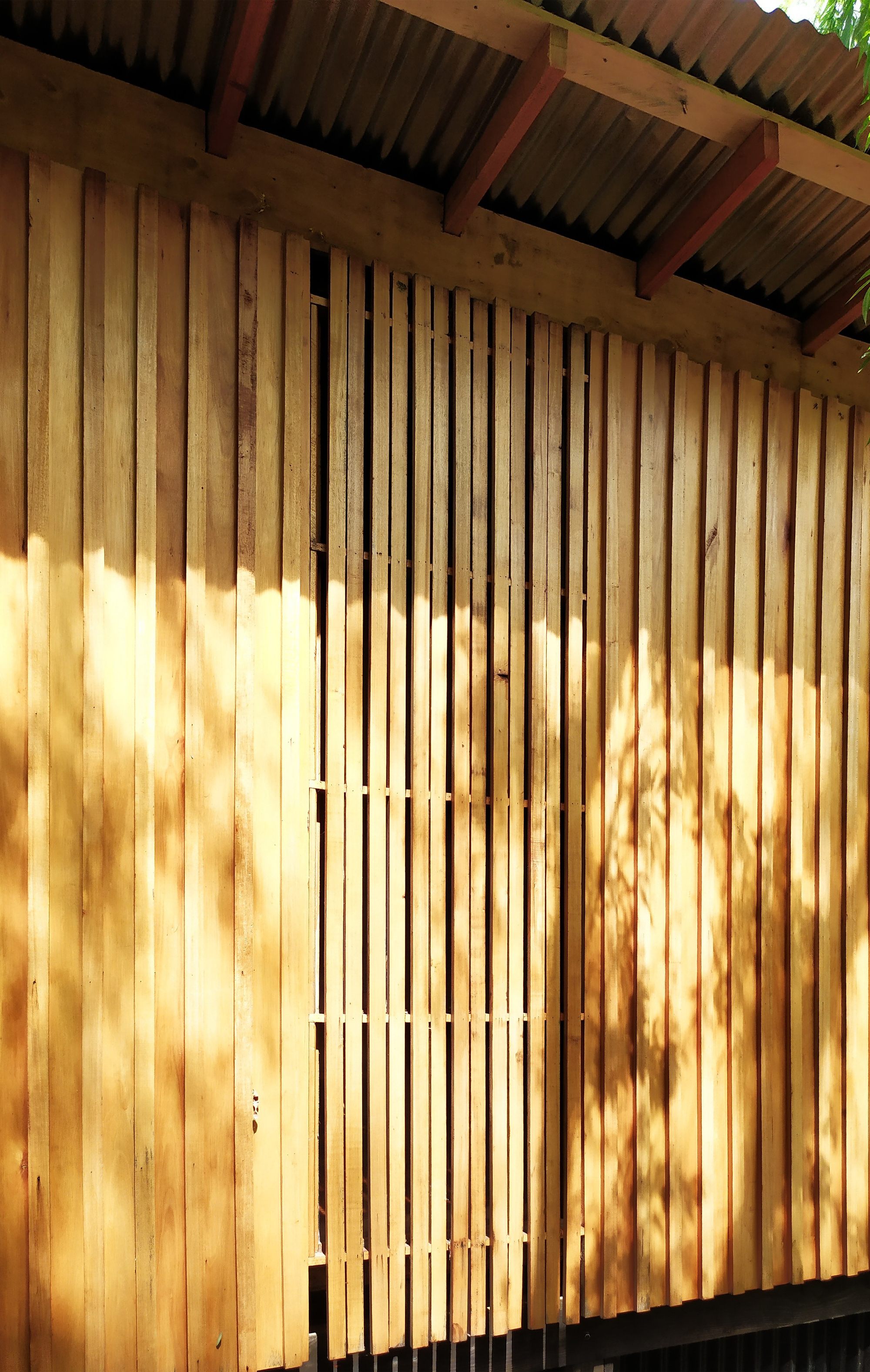 House in Delta Buenos Aires / Matías Cosenza Arquitecto-29