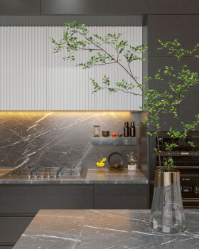 kitchen modern design