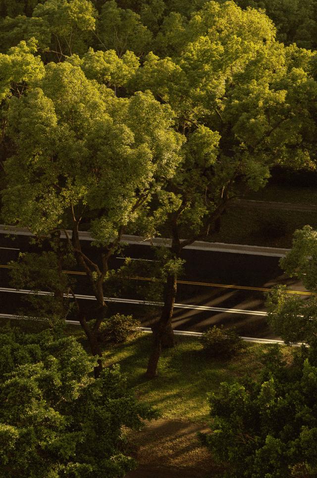 台北嘉佩乐酒店丨中国台北丨André Fu傅厚民-7