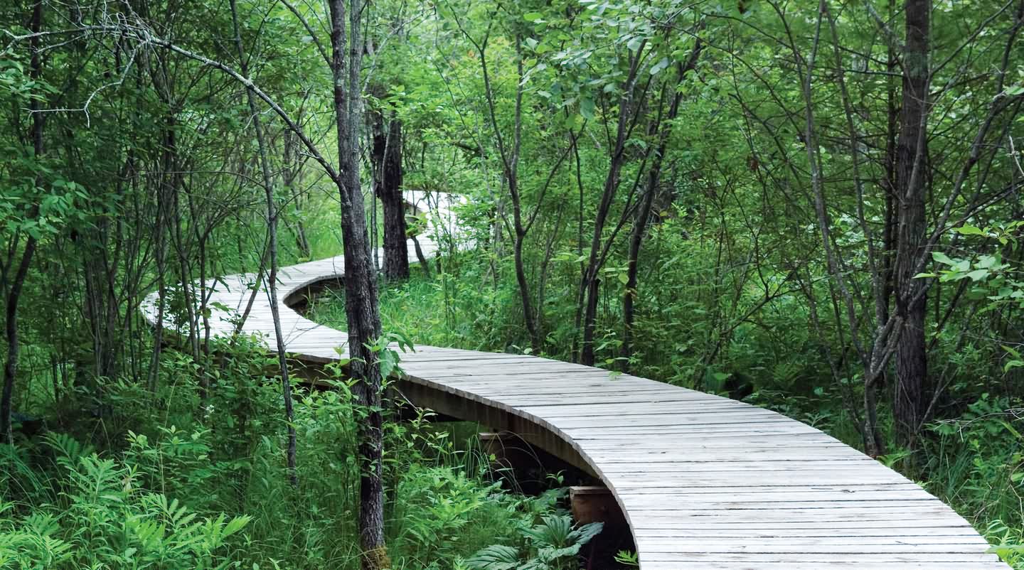 半英里生态景观人行道丨景观设计师-11