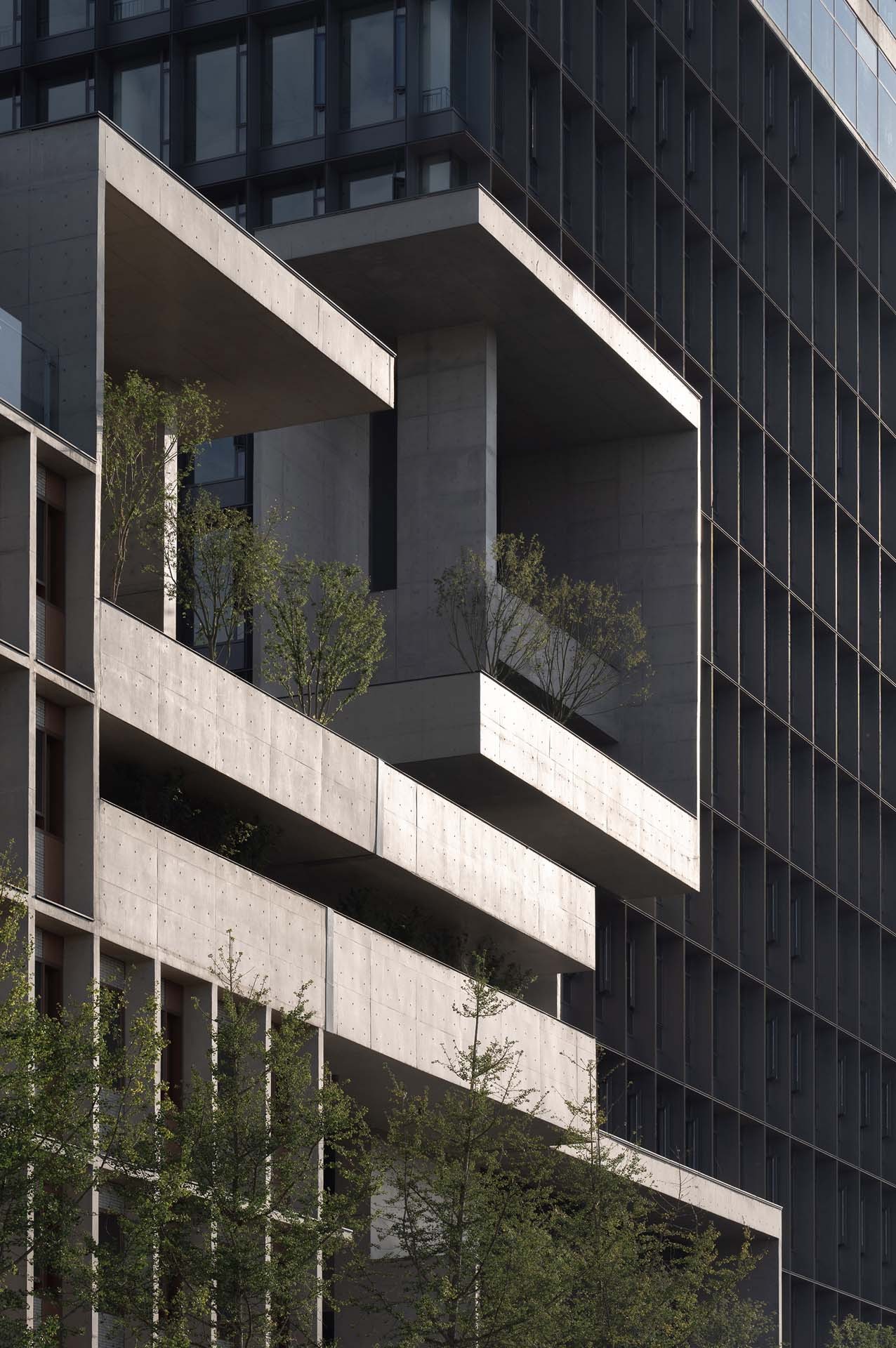 成都麓湖漂浮总部办公楼丨中国成都丨直向建筑-36