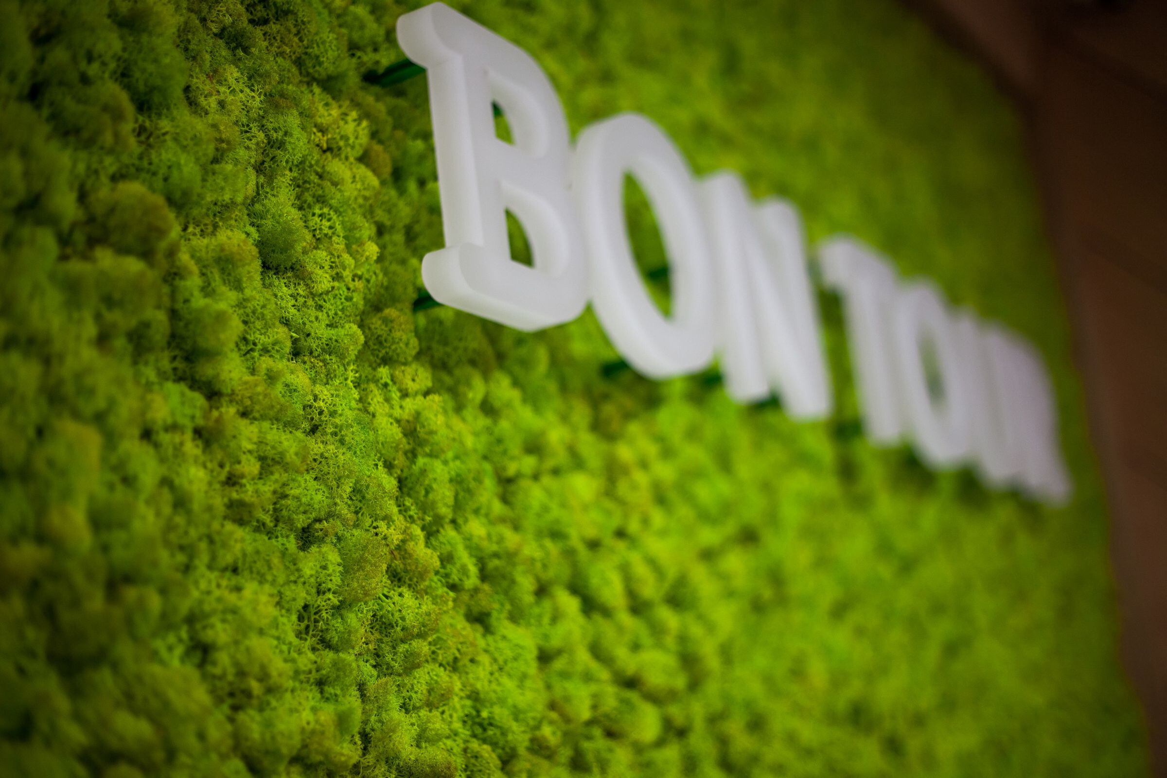 绿色创意办公空间 · 保加利亚 Varna-32